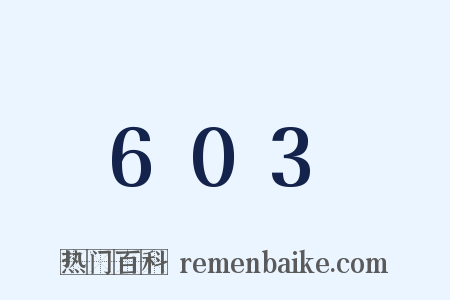 603是什么意思的图片